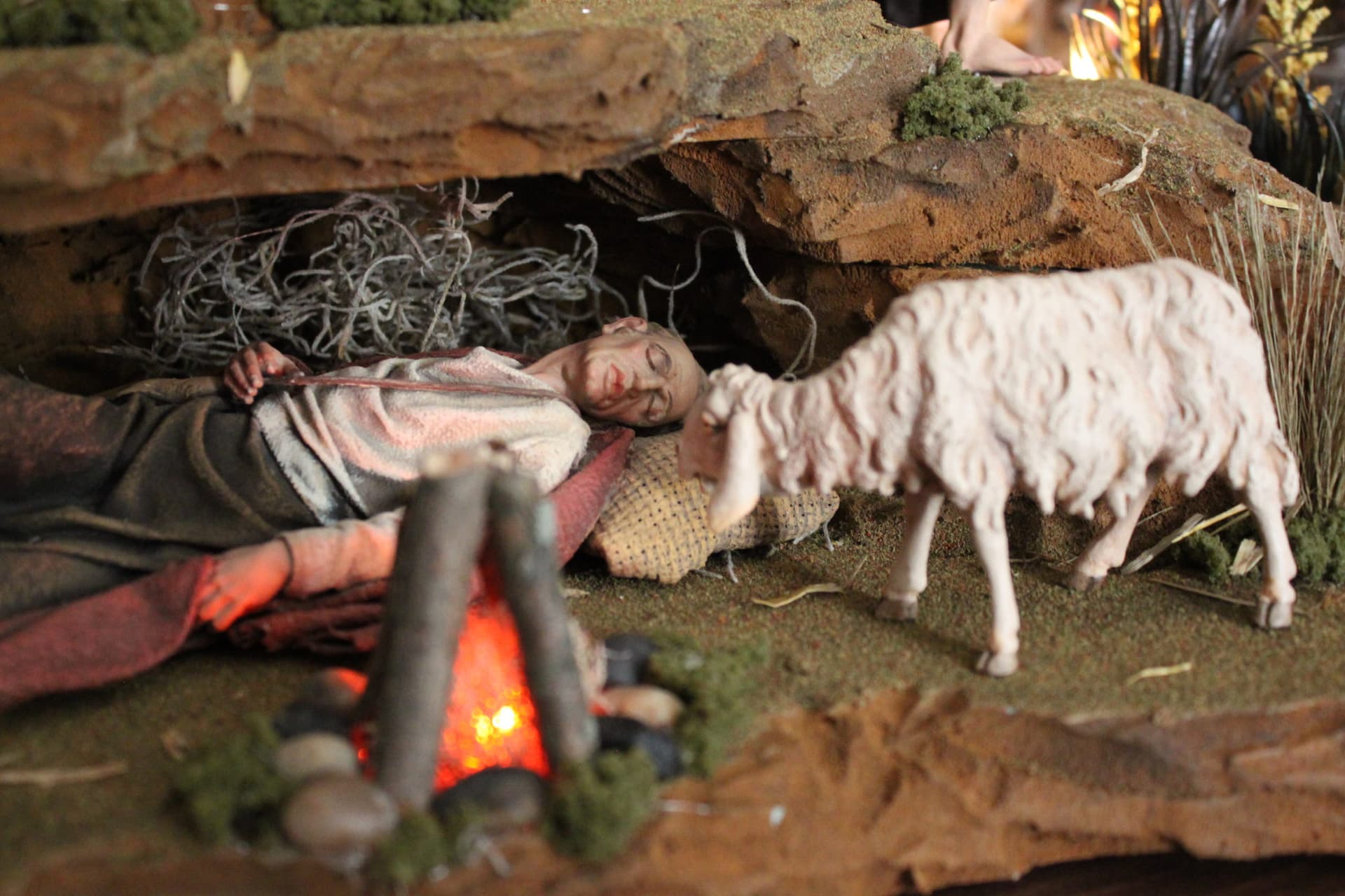 The Renaissance Nativity, photograph 10