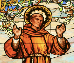 St. Francis of Assisi in stained glass, arms raised among birds and vines