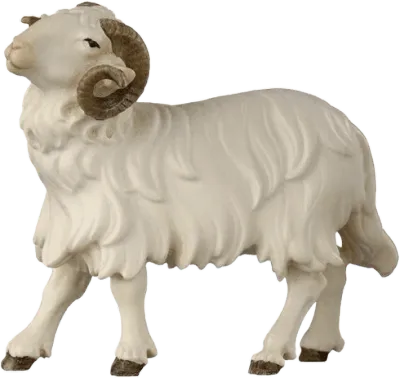 Hand-carved wooden ram looking left with curved horns and white wool