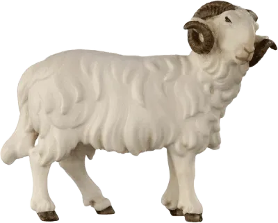 Hand-carved wooden ram looking right with textured wool and brown curved horns
