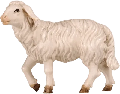 Hand-carved wooden sheep standing with head raised, white with brown hooves