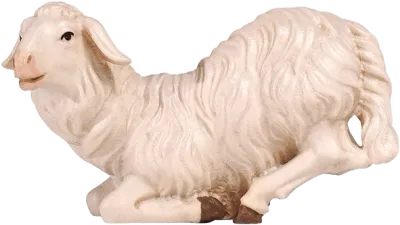 Hand-carved wooden kneeling sheep nativity animal figure, white with brown hooves
