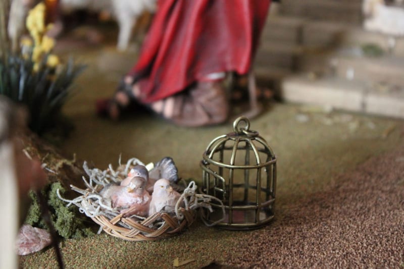 The Renaissance Nativity, photograph 7