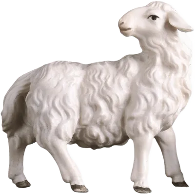 Sheep Looking Backward – nativity figure by ULPE Wood Art