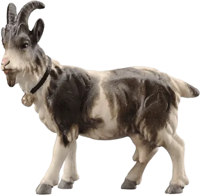 Hand-carved wooden goat figure looking left with bell on collar, brown and white