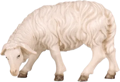 Hand-carved wooden sheep grazing looking left with detailed wool texture and natural paint