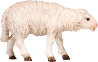 Hand-carved wooden sheep standing looking forward, white with brown hooves